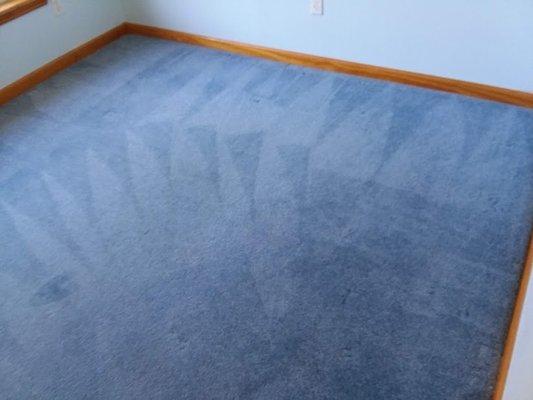 Carpet Cleaning in Nags Head, NC