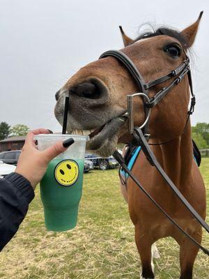 Bring your New Wave to any event you go to! Like a horse show