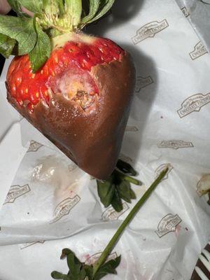 Chocolate covered strawberry