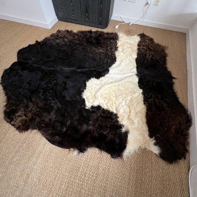 Belted Galloway Hide