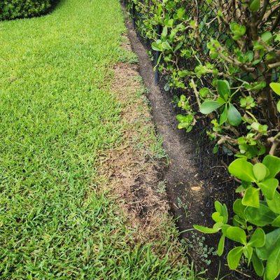 Floridas Best Lawn and Pest