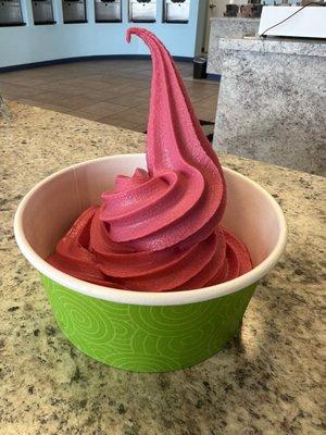 Dairy free pomegranate raspberry sorbet