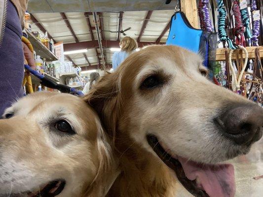 Selfie waiting in line for dog nail clipping