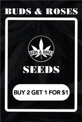 Buds & Roses feminized seeds. Get yours today!