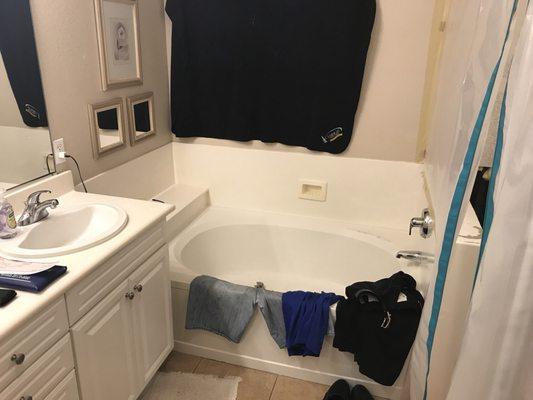 Bathtub before demo and remodel.