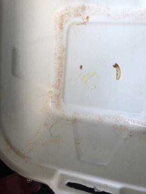 Hair in food container