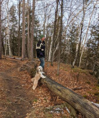 The woods are beautiful, even in winter.