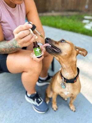 Our pet full spectrum oil promotes calm, supports joint health, and enhances overall well-being with natural, plant-based ingredients.