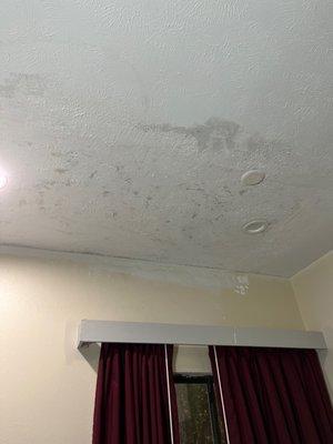 Stains on the ceiling