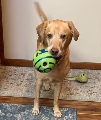 Harley hoping someone will play ball!