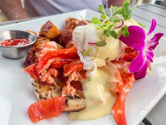 Lobster Benedict