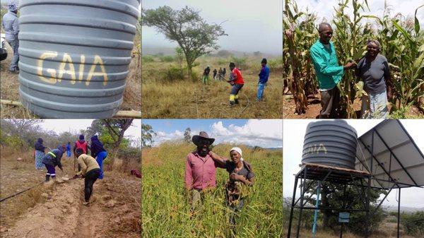 The Gaia Movement supports Farmers' Clubs in Zimbabwe in two
 different regions - Mutasa and Chivi