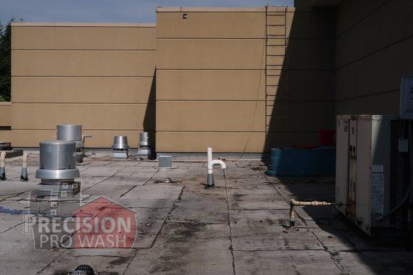 Puyallup Siding Soft Wash EIFS Building Cleaning Commercial Pressure Washing