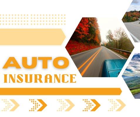 VanDyke Insurance 
 Auto Insurance 
 Fall
 Driving
 Car Insurance
 Protection
 Coverage