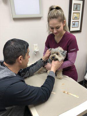 Toby passed on the free peanut butter, but was well taken care of by the vet tech and the doctor.