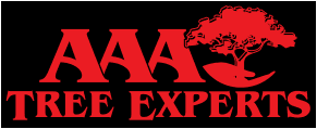 AAA Tree Experts