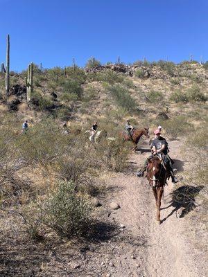 Horseback riding in the desert