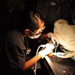 Cynthia giving this dental cleaning great care.