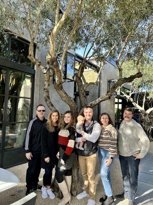 Olive trees and a Restoration Hardware showroom behind the restaurant.