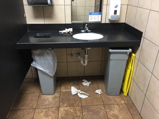 Filthy Women's Bathroom