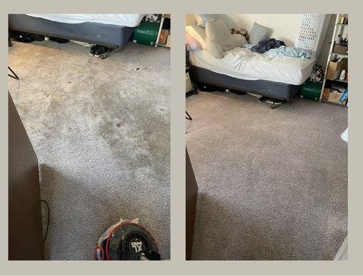 Kendall's Carpet Cleaning