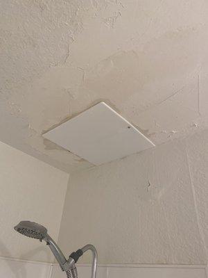 Leaky ceiling (note the leaking around the previous THREE patchings)