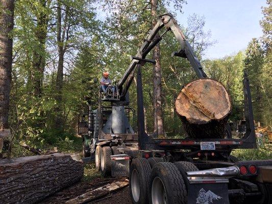 Chris Sr loading logs onto our log truck.