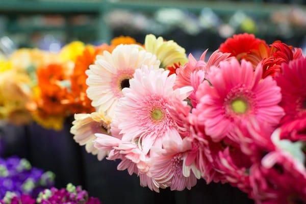 Arizona Flower Market