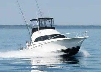 Sea Dog Sport Fishing Charters of Sheboygan, Wisconsin