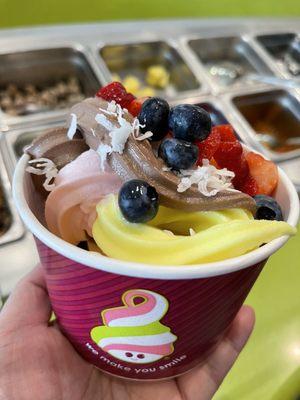 Menchie's Frozen Yogurt