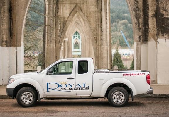 Royal Pest Solutions