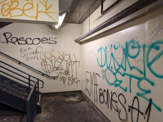 The stairs at the parking garage.  Also not uncommon to see glass in the parking lot from broken car windows. This used to be a good area.