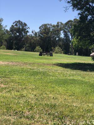 Only benches seen. No playgrounds. Could be behind trees way in back.