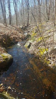 Spring rains brought many streams to life.