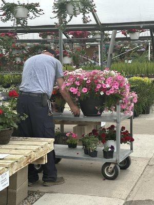 Big pots of flowers HUGE!