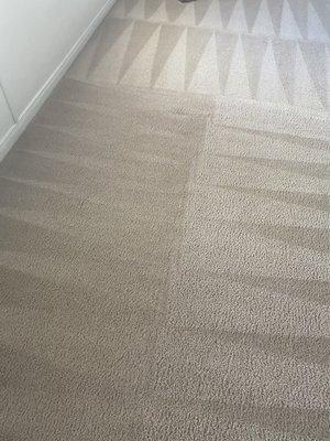 Cleaned carpet