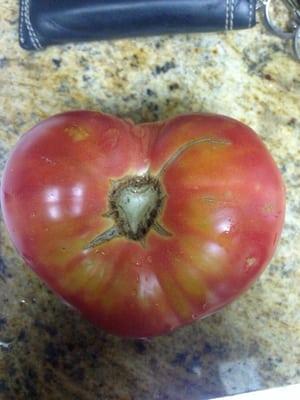 My tomato looks like a heart!!!