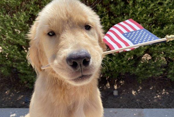 Owen is ready for Memorial Day.