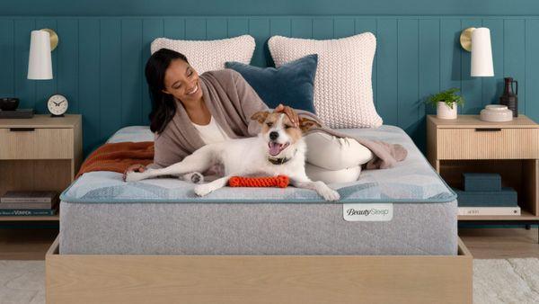 Beautysleep Hybrid available at Mattress Dogzzz