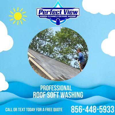 Perfect View Window Cleaning and Pressure Washing, Professional Roof Soft Washing Services