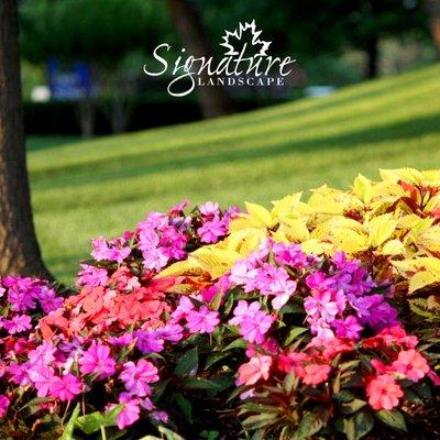 Make your #Landscape a #SignatureLandscape this year! Learn more here: bit.ly/SignatureLandscape