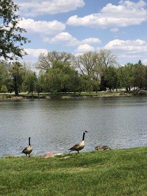 Japanese Cultural Center, Tea House, and Gardens of Saginaw