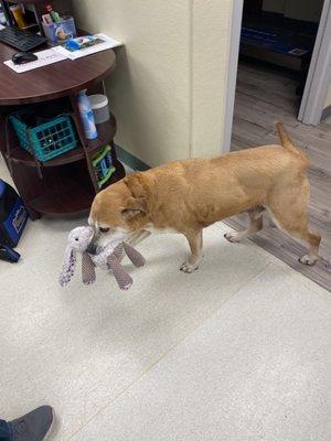 Patients at Noahs getting some love and individual staff lovins