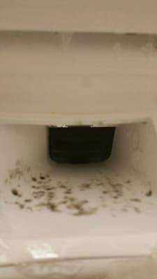 Mold in fridge