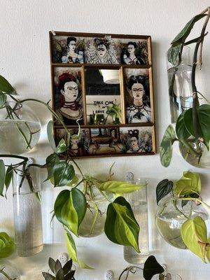 Plants and picture of Freda