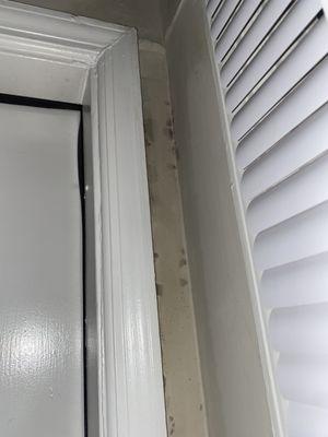 The black mold that started happening