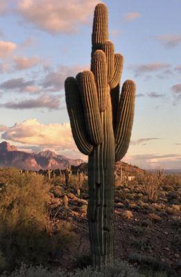 Usery Mountain Regional Park