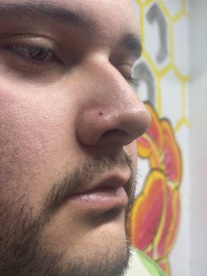 Nose Piercing