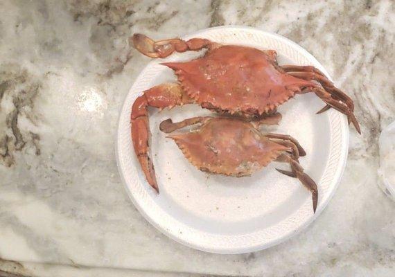 The size crab they sold on the bottom versus what they were actually advertising on top.