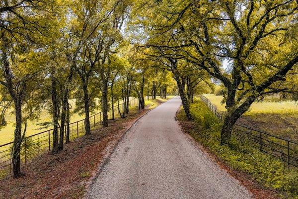 Driveway